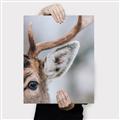 Picture of Eye of the Deer _GroupedProduct_Rectangle_Portrait_Photography _GroupedProduct_Rectangle_Portrait_Canvas_