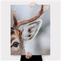 Picture of Eye of the Deer _GroupedProduct_Rectangle_Portrait_Photography _GroupedProduct_Rectangle_Portrait_Canvas_