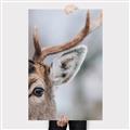 Picture of Eye of the Deer _GroupedProduct_Rectangle_Portrait_Photography _GroupedProduct_Rectangle_Portrait_Canvas_