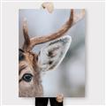 Picture of Eye of the Deer _GroupedProduct_Rectangle_Portrait_Photography _GroupedProduct_Rectangle_Portrait_Canvas_