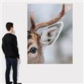 Picture of Eye of the Deer _GroupedProduct_Rectangle_Portrait_Photography _GroupedProduct_Rectangle_Portrait_Canvas_