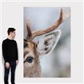 Picture of Eye of the Deer _GroupedProduct_Rectangle_Portrait_Photography _GroupedProduct_Rectangle_Portrait_Canvas_