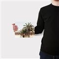 Picture of Wall with Palm Tree _GroupedProduct_Rectangle_Landscape_Photography _GroupedProduct_Rectangle_Landscape_Canvas_