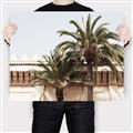 Picture of Wall with Palm Tree _GroupedProduct_Rectangle_Landscape_Photography _GroupedProduct_Rectangle_Landscape_Canvas_