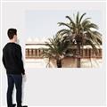 Picture of Wall with Palm Tree _GroupedProduct_Rectangle_Landscape_Photography _GroupedProduct_Rectangle_Landscape_Canvas_
