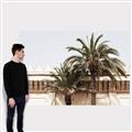 Picture of Wall with Palm Tree _GroupedProduct_Rectangle_Landscape_Photography _GroupedProduct_Rectangle_Landscape_Canvas_