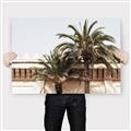 Picture of Wall with Palm Tree _GroupedProduct_Rectangle_Landscape_Photography _GroupedProduct_Rectangle_Landscape_Canvas_