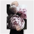 Picture of Blush Bloom _GroupedProduct_Rectangle_Portrait_Photography _GroupedProduct_Rectangle_Portrait_Canvas_