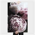 Picture of Blush Bloom _GroupedProduct_Rectangle_Portrait_Photography _GroupedProduct_Rectangle_Portrait_Canvas_