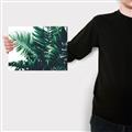 Picture of Fern Garden  _GroupedProduct_Rectangle_Landscape_Photography _GroupedProduct_Rectangle_Landscape_Canvas_