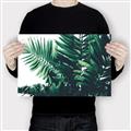 Picture of Fern Garden  _GroupedProduct_Rectangle_Landscape_Photography _GroupedProduct_Rectangle_Landscape_Canvas_
