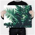 Picture of Fern Garden  _GroupedProduct_Rectangle_Landscape_Photography _GroupedProduct_Rectangle_Landscape_Canvas_