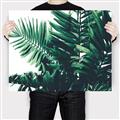 Picture of Fern Garden  _GroupedProduct_Rectangle_Landscape_Photography _GroupedProduct_Rectangle_Landscape_Canvas_