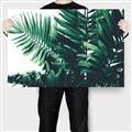 Picture of Fern Garden  _GroupedProduct_Rectangle_Landscape_Photography _GroupedProduct_Rectangle_Landscape_Canvas_