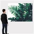 Picture of Fern Garden  _GroupedProduct_Rectangle_Landscape_Photography _GroupedProduct_Rectangle_Landscape_Canvas_