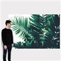 Picture of Fern Garden  _GroupedProduct_Rectangle_Landscape_Photography _GroupedProduct_Rectangle_Landscape_Canvas_