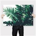Picture of Fern Garden  _GroupedProduct_Rectangle_Landscape_Photography _GroupedProduct_Rectangle_Landscape_Canvas_