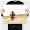 Picture of Sandy Desert  _GroupedProduct_Rectangle_Landscape_Photography _GroupedProduct_Rectangle_Landscape_Canvas_