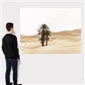 Picture of Sandy Desert  _GroupedProduct_Rectangle_Landscape_Photography _GroupedProduct_Rectangle_Landscape_Canvas_