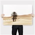 Picture of Sandy Desert  _GroupedProduct_Rectangle_Landscape_Photography _GroupedProduct_Rectangle_Landscape_Canvas_
