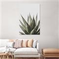 Picture of Cactus Succulent _GroupedProduct_Rectangle_Portrait_Photography _GroupedProduct_Rectangle_Portrait_Canvas_