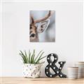 Picture of Eye of the Deer _GroupedProduct_Rectangle_Portrait_Photography _GroupedProduct_Rectangle_Portrait_Canvas_