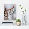 Picture of Eye of the Deer _GroupedProduct_Rectangle_Portrait_Photography _GroupedProduct_Rectangle_Portrait_Canvas_