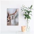 Picture of Eye of the Deer _GroupedProduct_Rectangle_Portrait_Photography _GroupedProduct_Rectangle_Portrait_Canvas_
