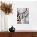 Picture of Eye of the Deer _GroupedProduct_Rectangle_Portrait_Photography _GroupedProduct_Rectangle_Portrait_Canvas_