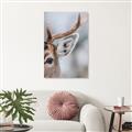Picture of Eye of the Deer _GroupedProduct_Rectangle_Portrait_Photography _GroupedProduct_Rectangle_Portrait_Canvas_