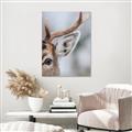 Picture of Eye of the Deer _GroupedProduct_Rectangle_Portrait_Photography _GroupedProduct_Rectangle_Portrait_Canvas_