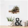 Picture of Wall with Palm Tree _GroupedProduct_Rectangle_Landscape_Photography _GroupedProduct_Rectangle_Landscape_Canvas_