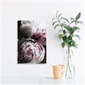Picture of Blush Bloom _GroupedProduct_Rectangle_Portrait_Photography _GroupedProduct_Rectangle_Portrait_Canvas_