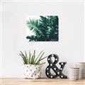Picture of Fern Garden  _GroupedProduct_Rectangle_Landscape_Photography _GroupedProduct_Rectangle_Landscape_Canvas_
