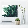 Picture of Fern Garden  _GroupedProduct_Rectangle_Landscape_Photography _GroupedProduct_Rectangle_Landscape_Canvas_