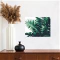 Picture of Fern Garden  _GroupedProduct_Rectangle_Landscape_Photography _GroupedProduct_Rectangle_Landscape_Canvas_