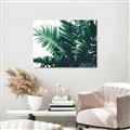 Picture of Fern Garden  _GroupedProduct_Rectangle_Landscape_Photography _GroupedProduct_Rectangle_Landscape_Canvas_
