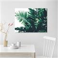 Picture of Fern Garden  _GroupedProduct_Rectangle_Landscape_Photography _GroupedProduct_Rectangle_Landscape_Canvas_