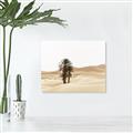 Picture of Sandy Desert  _GroupedProduct_Rectangle_Landscape_Photography _GroupedProduct_Rectangle_Landscape_Canvas_