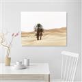 Picture of Sandy Desert  _GroupedProduct_Rectangle_Landscape_Photography _GroupedProduct_Rectangle_Landscape_Canvas_