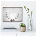 Picture of Forest King  _GroupedProduct_Rectangle_Landscape_Photography _GroupedProduct_Rectangle_Landscape_Canvas_Framed_