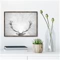 Picture of Forest King  _GroupedProduct_Rectangle_Landscape_Photography _GroupedProduct_Rectangle_Landscape_Canvas_Framed_