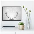 Picture of Forest King  _GroupedProduct_Rectangle_Landscape_Photography _GroupedProduct_Rectangle_Landscape_Canvas_Framed_