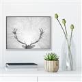 Picture of Forest King  _GroupedProduct_Rectangle_Landscape_Photography _GroupedProduct_Rectangle_Landscape_Canvas_Framed_