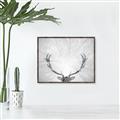 Picture of Forest King  _GroupedProduct_Rectangle_Landscape_Photography _GroupedProduct_Rectangle_Landscape_Canvas_Framed_