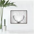 Picture of Forest King  _GroupedProduct_Rectangle_Landscape_Photography _GroupedProduct_Rectangle_Landscape_Canvas_Framed_