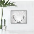 Picture of Forest King  _GroupedProduct_Rectangle_Landscape_Photography _GroupedProduct_Rectangle_Landscape_Canvas_Framed_