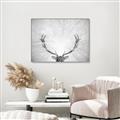 Picture of Forest King  _GroupedProduct_Rectangle_Landscape_Photography _GroupedProduct_Rectangle_Landscape_Canvas_Framed_
