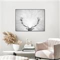 Picture of Forest King  _GroupedProduct_Rectangle_Landscape_Photography _GroupedProduct_Rectangle_Landscape_Canvas_Framed_