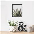 Picture of Cactus Succulent _GroupedProduct_Rectangle_Portrait_Photography _GroupedProduct_Rectangle_Portrait_Canvas_Framed_